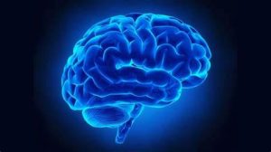 essere giologicamente umani