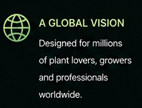 global vision